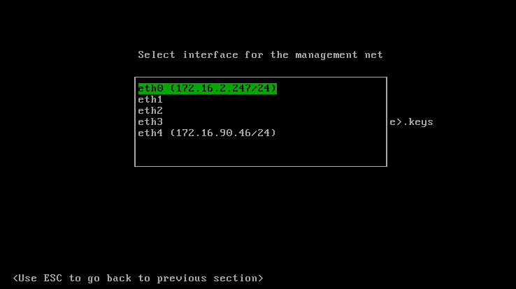 Choosing the Management Network interface